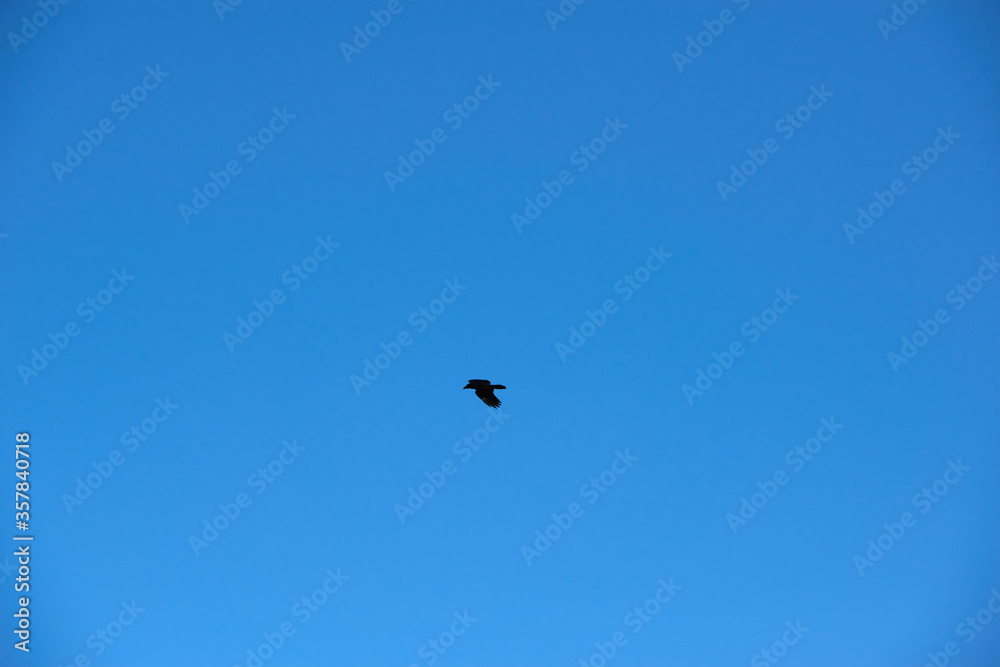 Air clouds in the blue sky. Nature background