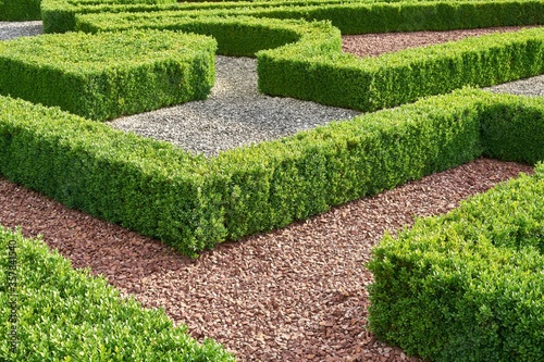 Geometric Boxwood Maze with Gravel Pathways in Formal Garden