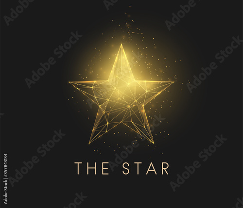 Abstract golden star. Low poly style design