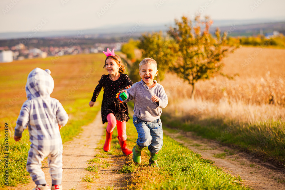 Fototapeta premium Group of children are playing on a country road