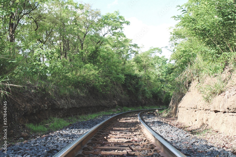 Fototapeta premium railway in the forest