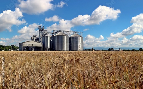 Grain storage silos system, behind a brown wheat field and under  a summer blue cloudy sky