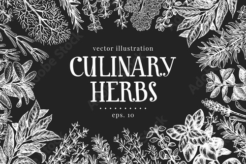 Hand drawn culinary herbs design template. Vector illustrations on chalk board. Vintage food background