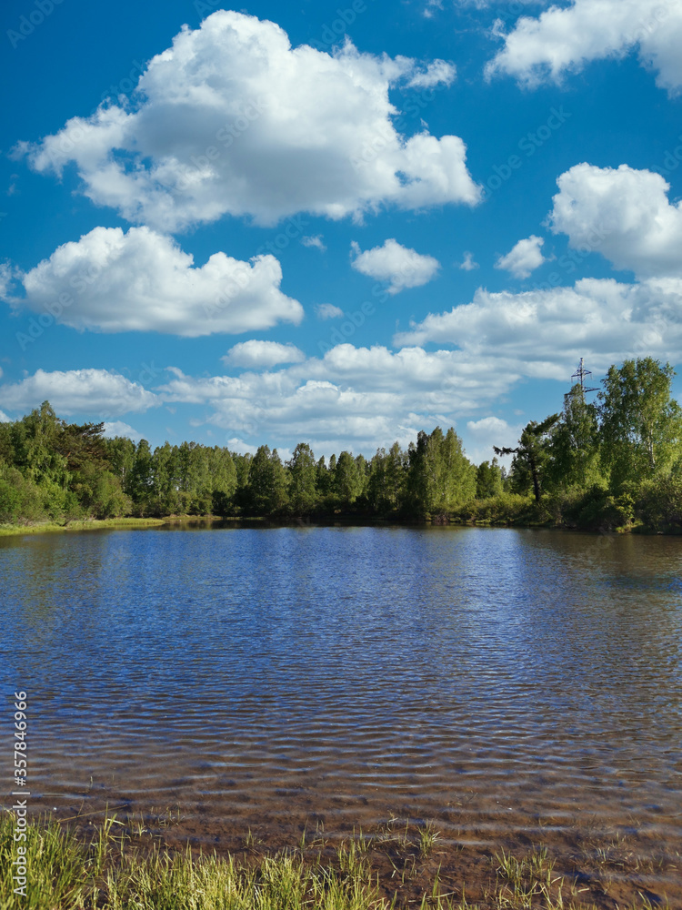 Siberian river Oka in the forest