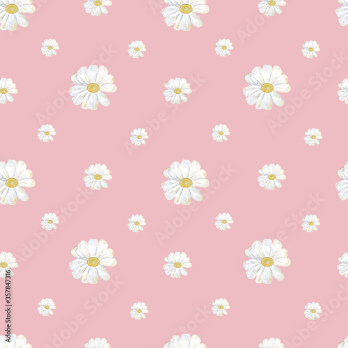 Seamless pattern of watercolor daisy flowers on a pink background. Use for design invitations, birthdays, weddings.