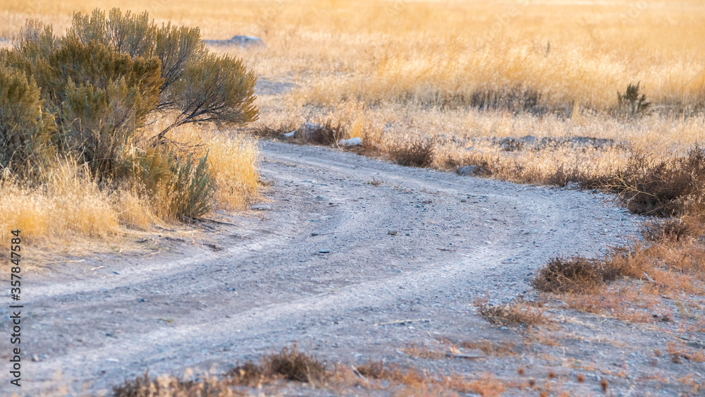 Panorama crop Curved dirt track with tyre tracks day light Panorama crop Curved dirt track with tyre tracks day light