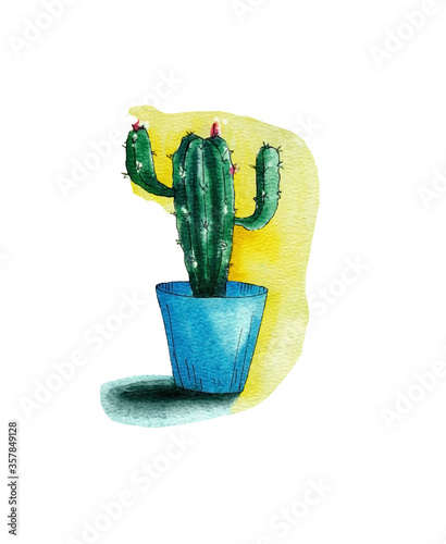 watercolor cactus in a blue pot on a yellow background