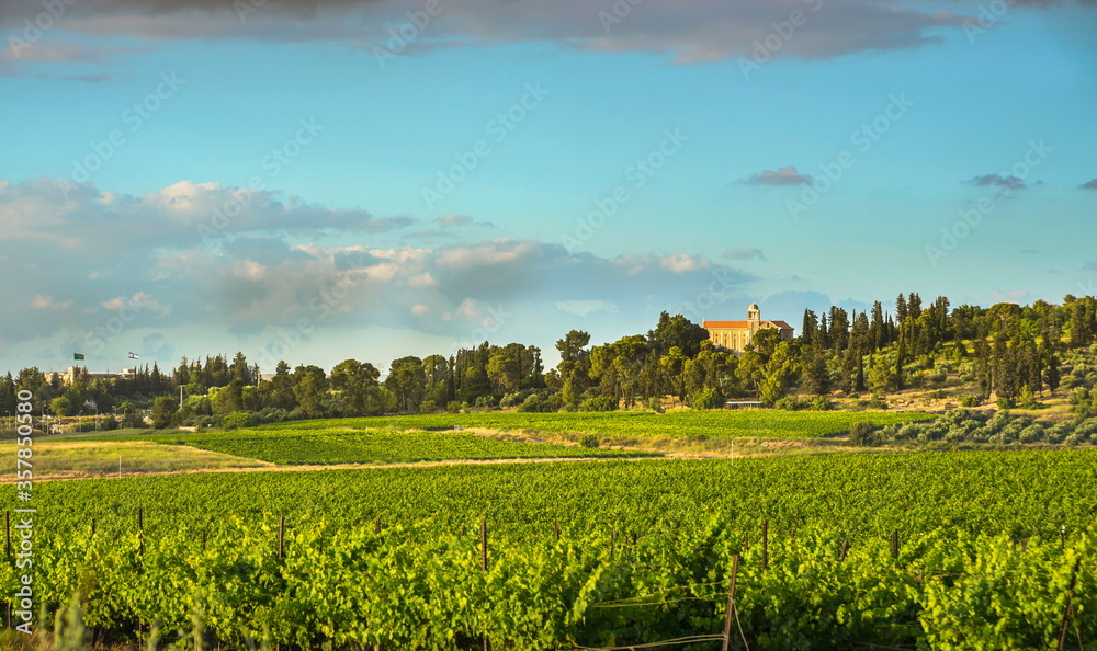 Latrun (Silent) Trappist Monastery and agricultural fields and vineyards of the Ayalon Valley; with flags flying over Yad La-Shiryon Memorial and Museum in the background; Central Israel