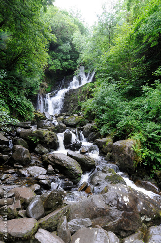 Cours d eau  cascade  ruisseau ou rivi  re de montagne dans la v  g  tation luxuriante du parc national de Killarney  comt   de Kerry en Irlande.