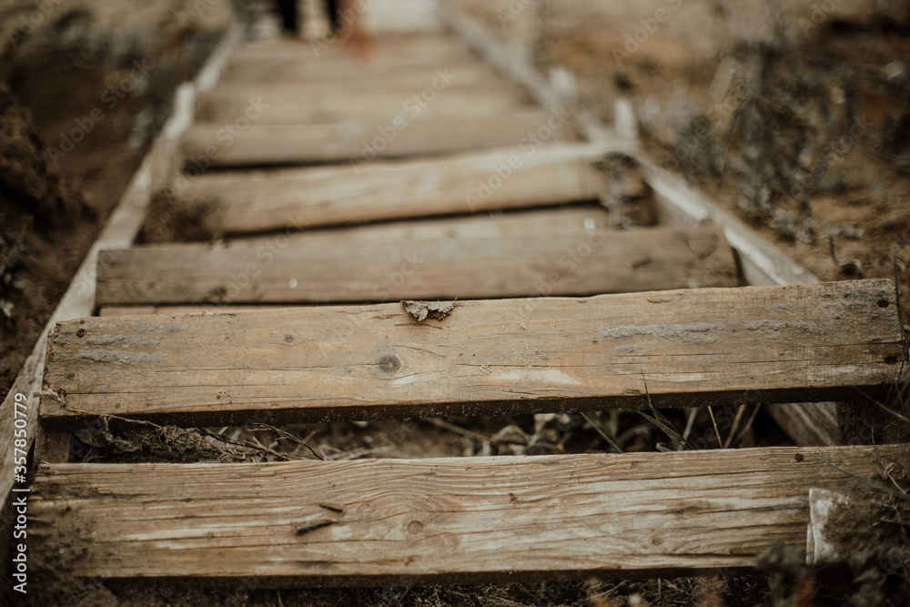 Fototapeta premium Steps of a wooden staircase, closeup