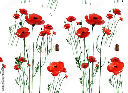 Watercolor flower pattern. Hand painted. Isolated on white background with small poppies