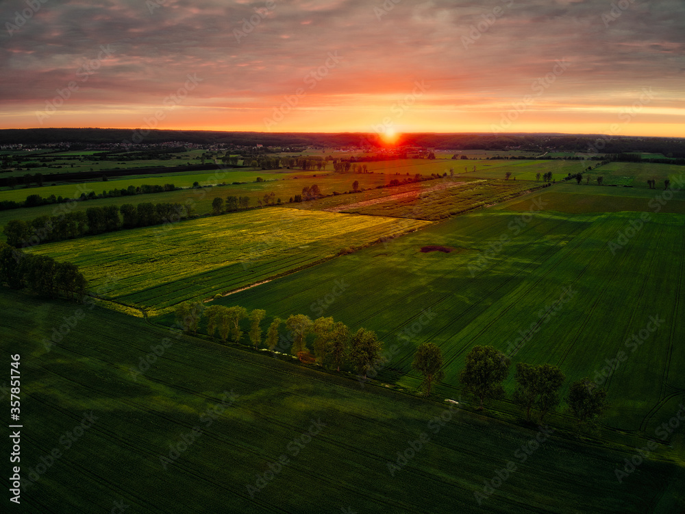 Aerial view of arable fields during sunset