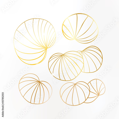 Gold leaves on white background. Lily leaf set with sparkles. Noble design. Vector illustration.