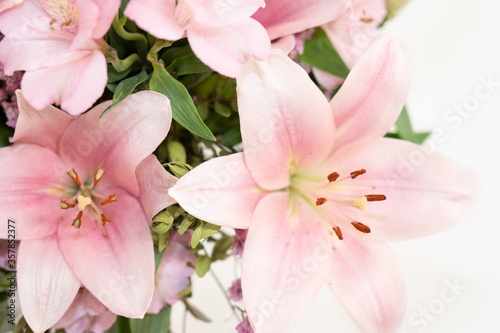 Pink Flower bouquet on white background