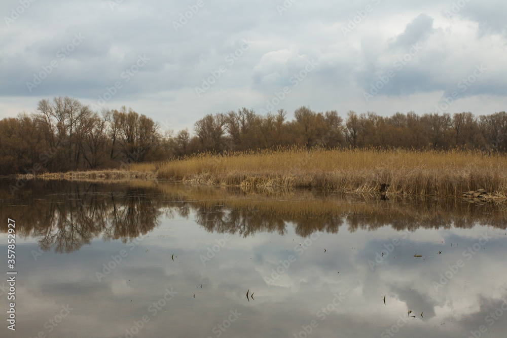 Lake on the island of Khortytsia in Zaporozhye. Ukraine