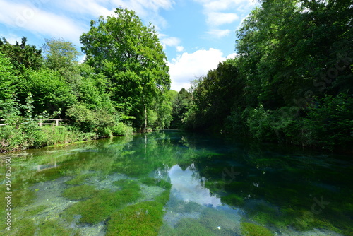 A pond in Surrey in the UK.
