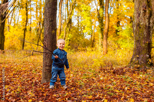 Little boy walking in the autumn park