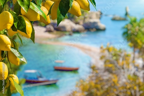 Photos Bunches of yellow ripe lemons with green leaves