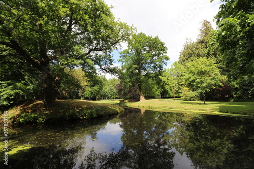  Beautiful view over a summer park with a pond landscape surrounded by old trees such as chestnut and beech. Photo was taken on a sunny day.