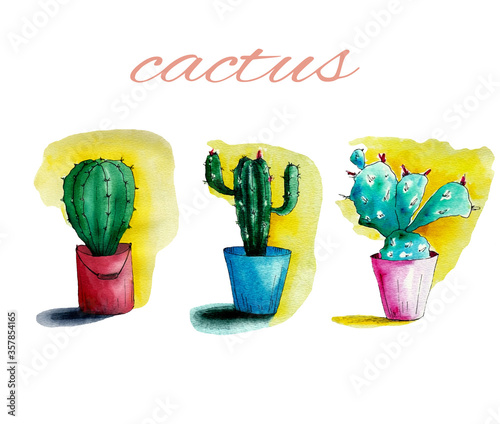 watercolor cacti in pots on a yellow background
