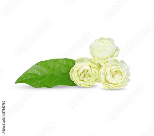  Arabian Jasmine, fragrant Flower on white background. © pairoj