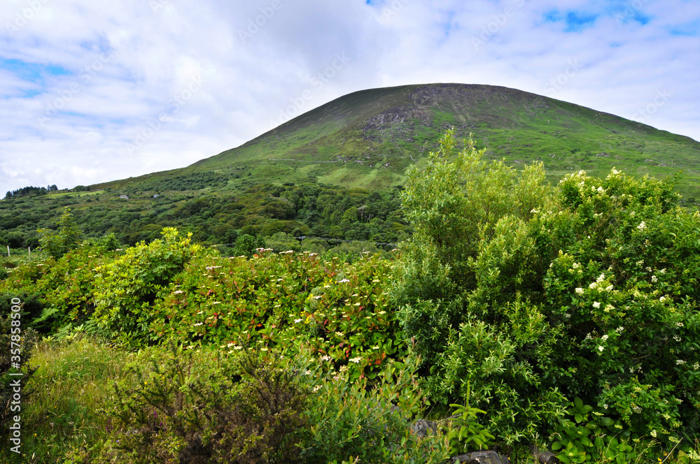Φωτογραφία Petite colline, arbustes à baies, verdure, nuage et ciel bleu à l'entrée de la route côtière du Ring of Kerry au sud-ouest de l'Irlande