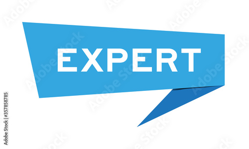Blue paper speech banner with word expert on white background