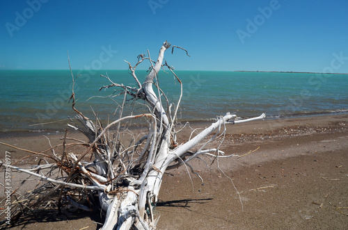 Balkhash lake, central Kazakhstan photo