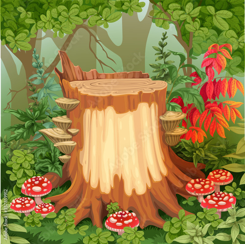 Forest glade with stump surrounded by toadstools