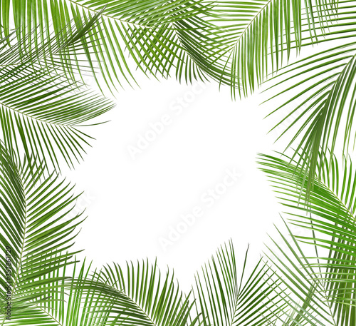 Frame made of beautiful lush tropical leaves on white background. Space for text © New Africa