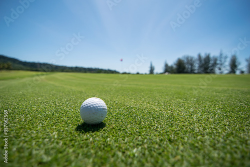 golf ball on golf curse