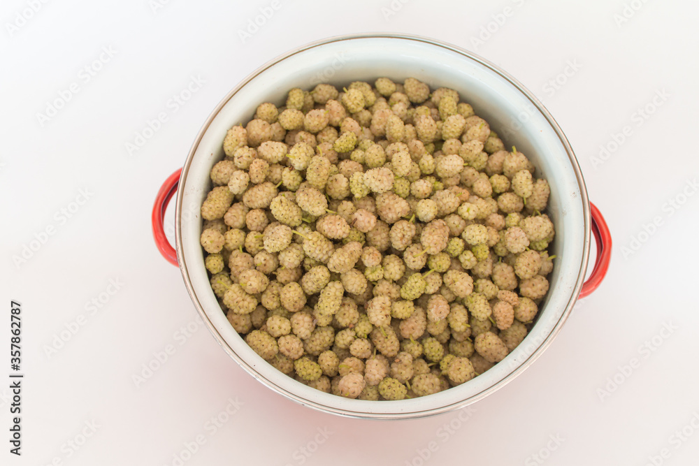 Top view mulberries in pot on white background. horizontal Top view mulberries in pot on white background. horizontal