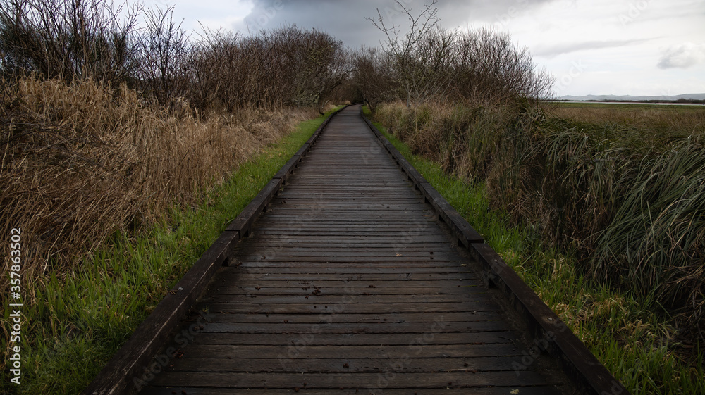 Wooden boardwalk trail through marsh and trees in winter