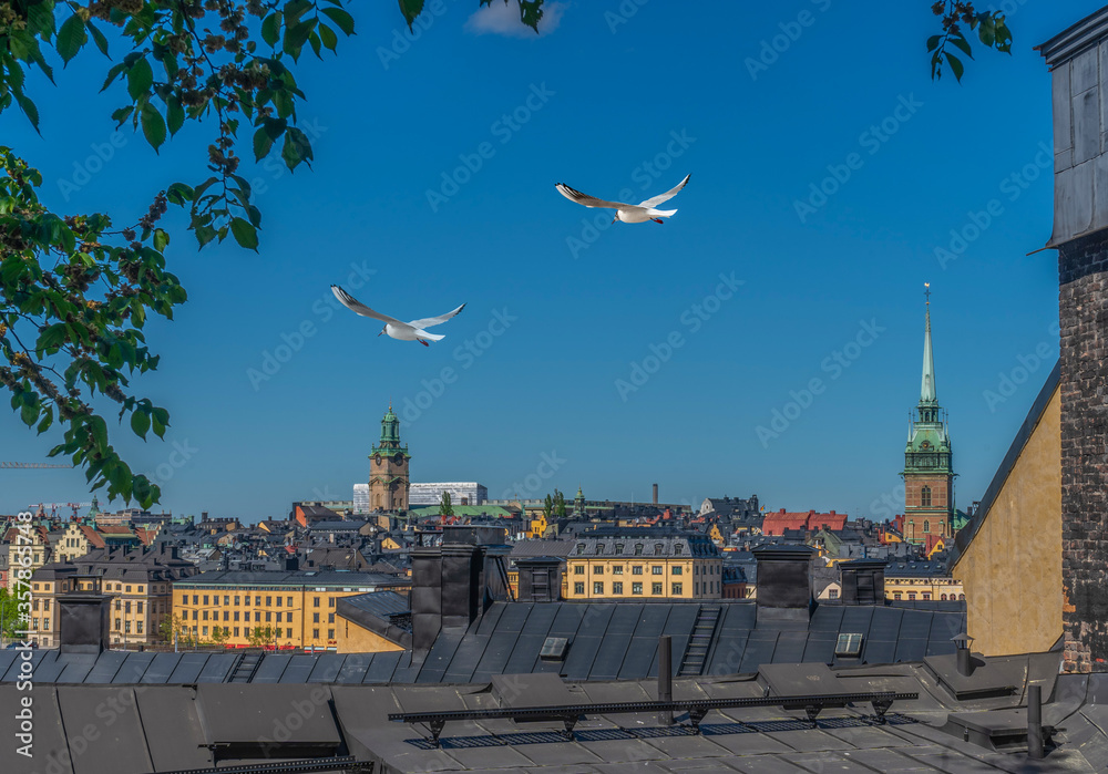 Fotografie View of Stockholm from Sodermalm district