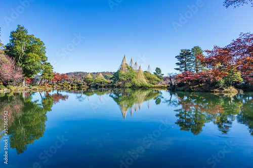 Kenrokuen Garden of autumn maple season in Ishikawa Prefecture, Japan. 