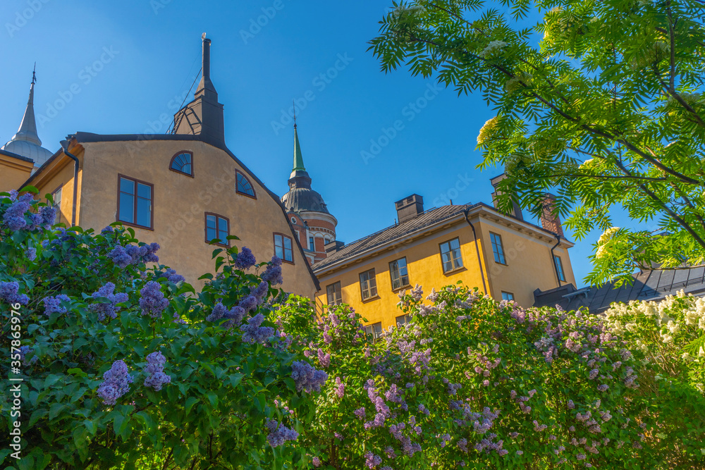 Old houses in Stockholm. Sodermalm district. View with lilac bush. Sweden. Scandinavia. Old houses in Stockholm. Sodermalm district. View with lilac bush. Sweden. Scandinavia.
