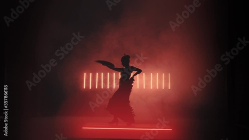 Flamenco Silhouette. Dancer in the dark room. Llight from behind. Smoke background. Slow motion photo