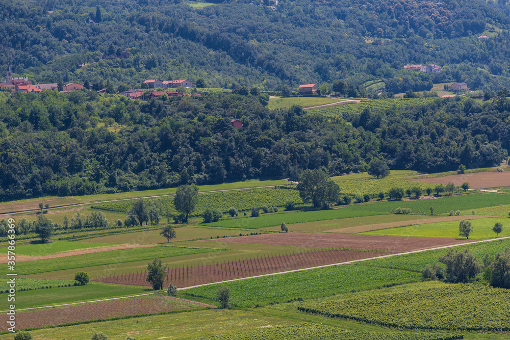 Berici hills in Italy
