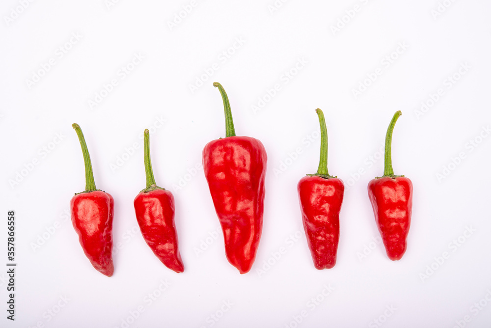 Red isolated chili pepper close up view with white background and copy space Red isolated chili pepper close up view with white background and copy space