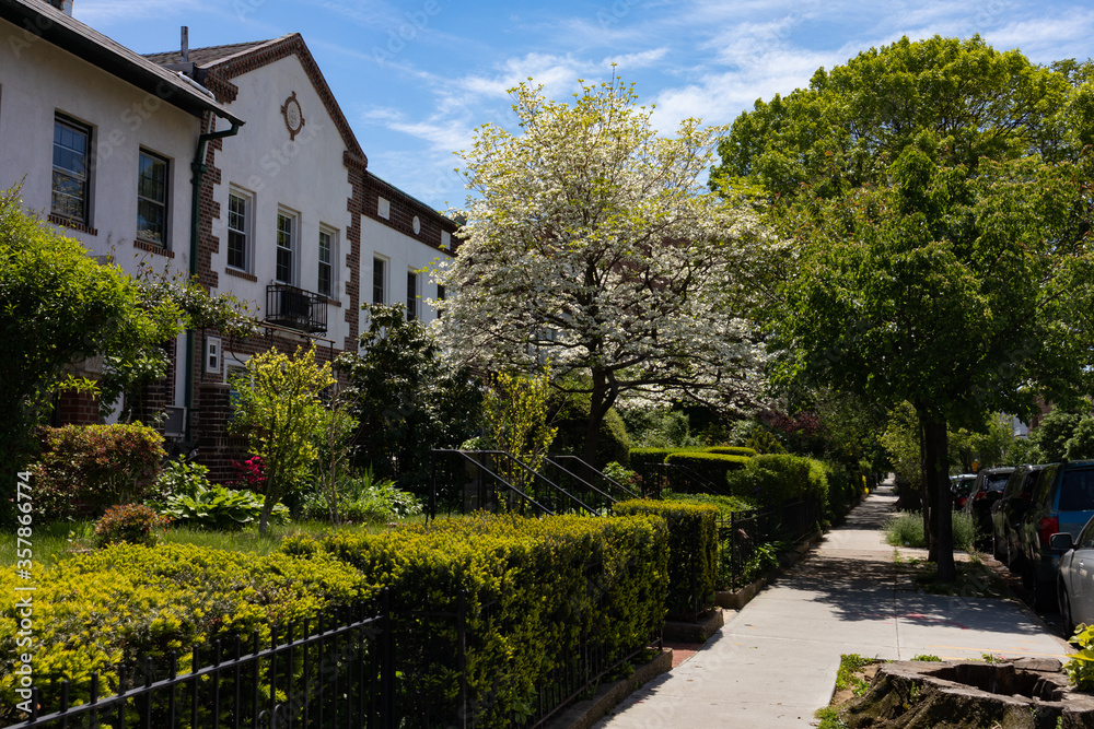 Beautiful Spring Sidewalk Scene with Old Homes and Green Gardens in Astoria Queens New York