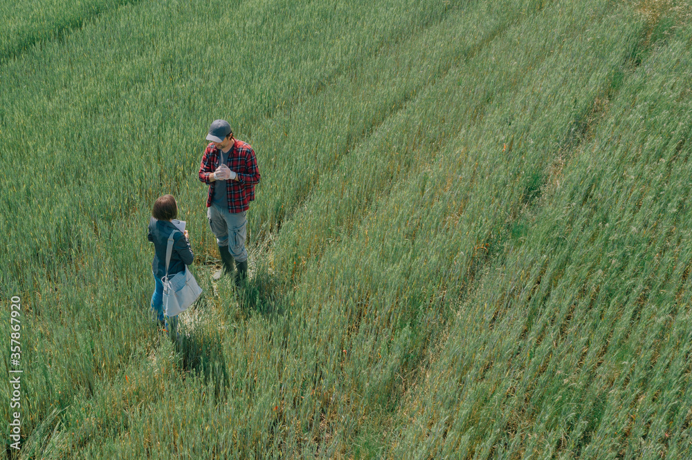 Banker and farmer negotiating bank agriculture loan in wheat field, aerial view