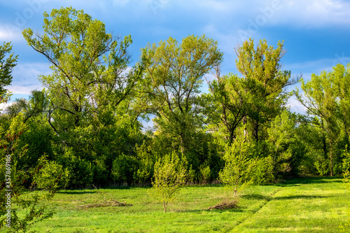 Panoramic view wetlands wooded meadows of Lawice Kielpinskie natural reserve at the Vistula river near Lomianki town north of Warsaw in central Mazovia region of Poland