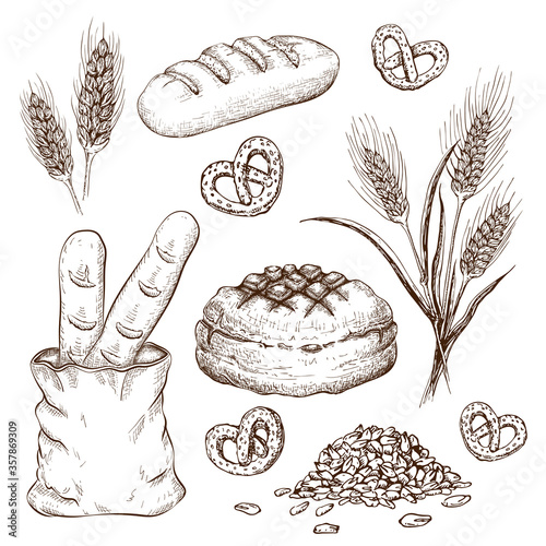 hand drawn breads set isolated on white. vector vintage illustration of variety bread like french baguette, round rustic bread, wheat loaf, rye or wheat ears, grains and pretzels engraved collection.