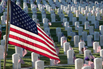 Military Headstones Decorated with Flags for Memorial Day