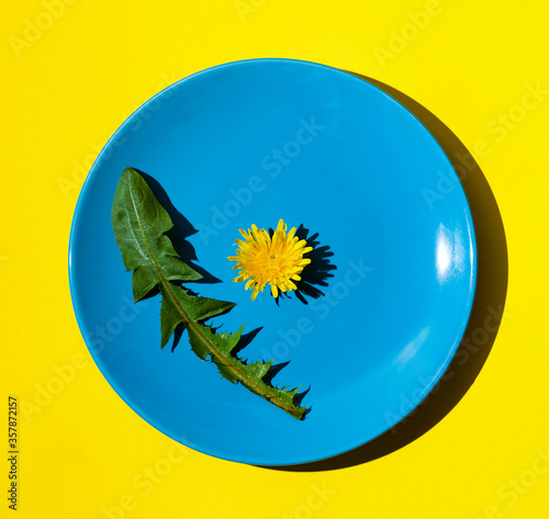 Top view of blue plate with dandelion flowers and leaf on bright yellow background