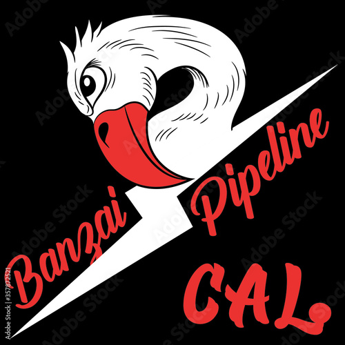 Ilustracion de craneo con rayo y flamingo encima con texto estilo surf californiano, diseño totalmente de moda