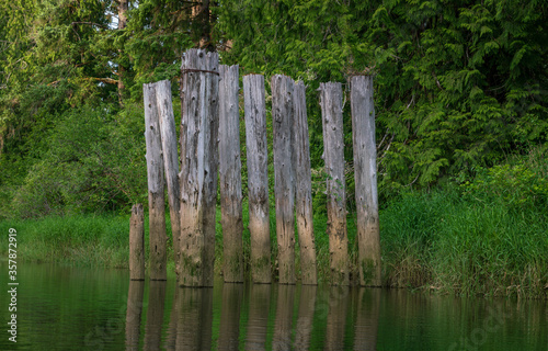 Old Abandoned Dock Works Of Chehalis River  Montesano Washington