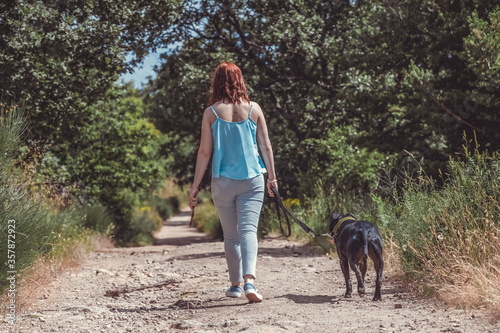 Girl from the back walking with a pitbull dog on a dirt road