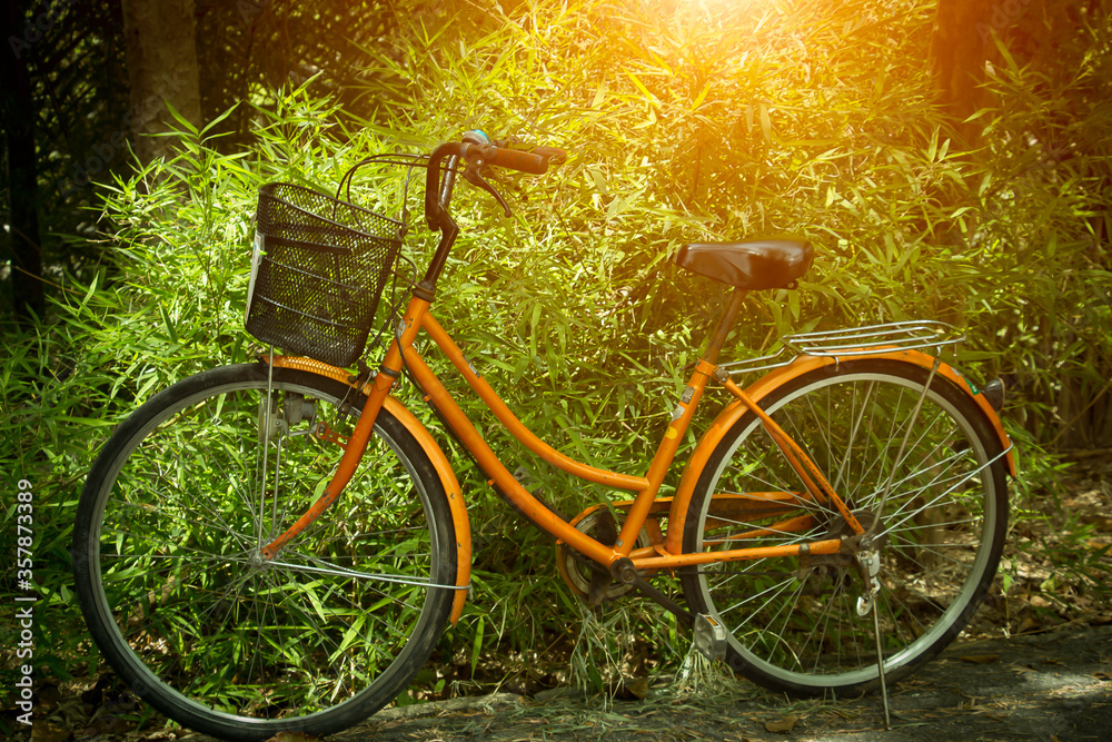 Bicycles and green trees have warm sunshine in nature.