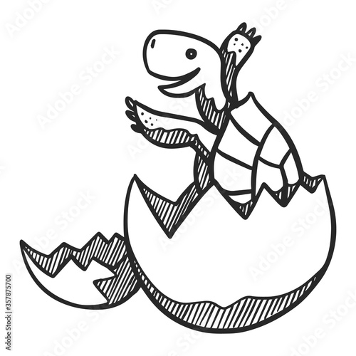 Tortoise hatching icon in sketch style. Animal vector doodle.